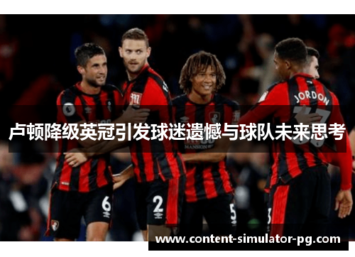 卢顿降级英冠引发球迷遗憾与球队未来思考